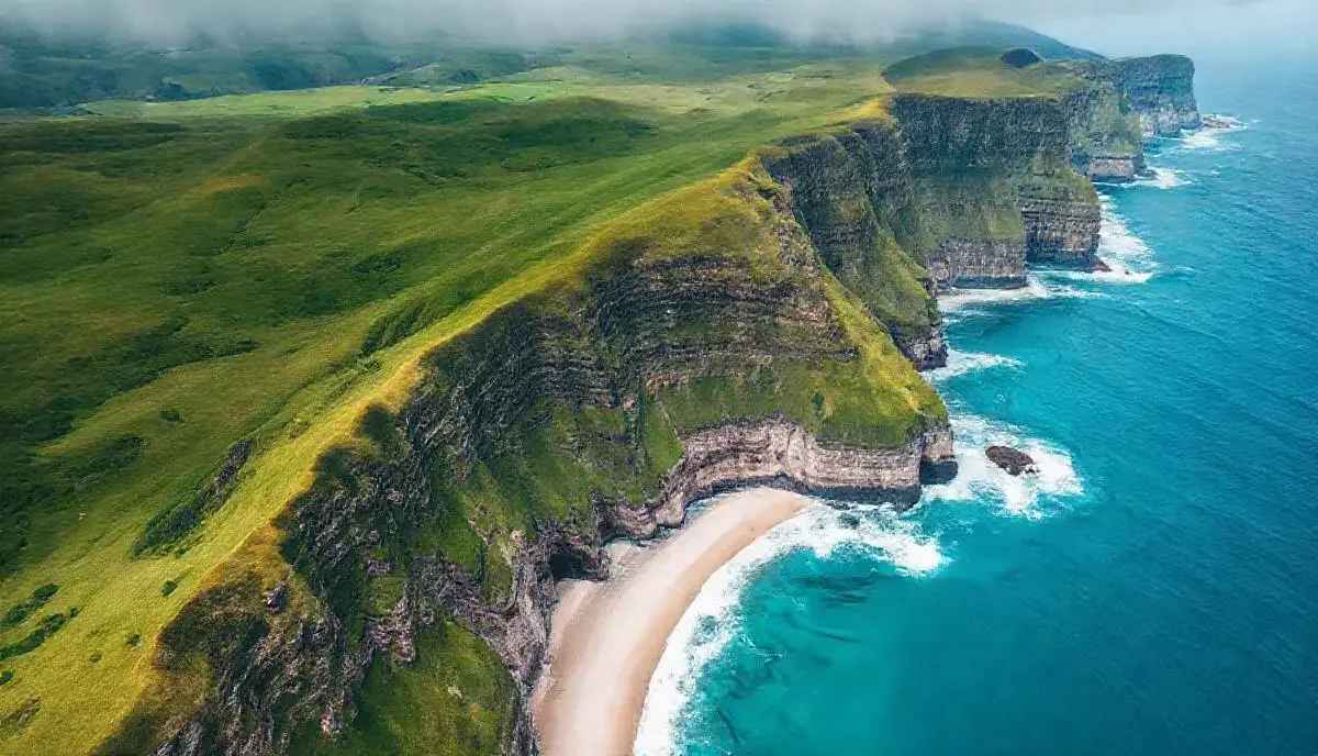 《海岸线：生生不息》海报